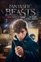 Nonton Film Fantastic Beasts and Where to Find Them (2016) Terbaru