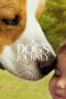 Nonton Film A Dog’s Journey (2019) Terbaru