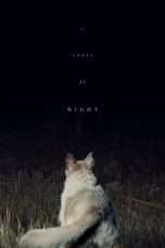 Nonton Film It Comes at Night (2017) Terbaru