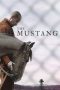 Nonton Film The Mustang (2019) Terbaru