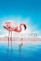 Nonton Film The Crimson Wing: Mystery of the Flamingos (2008) Terbaru