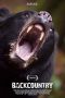 Nonton Film Backcountry (2014) Terbaru