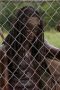 Nonton Film The Walking Dead Season 3 Episode 7 Terbaru