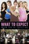 Nonton Film What to Expect When You’re Expecting (2012) Terbaru