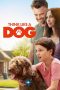 Nonton Film Think Like a Dog (2020) Terbaru