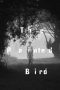 Nonton Film The Painted Bird (2019) Terbaru