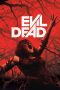 Nonton Film Evil Dead (2013) Terbaru