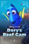 Nonton Film Dory’s Reef Cam (2020) Terbaru
